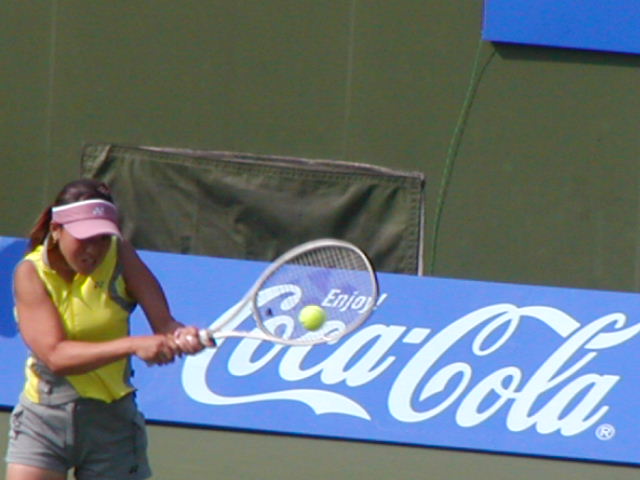 ($BE:IU(B1) 20021013222417.1.jpg