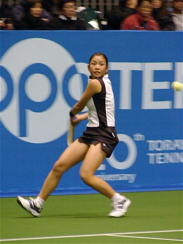 ($BE:IU(B1) 20030127011201.1.jpg