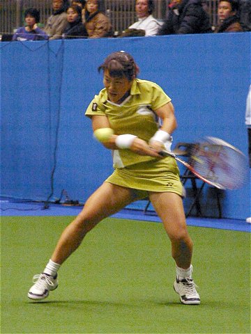 ($BE:IU(B1) 20030127011330.1.jpg