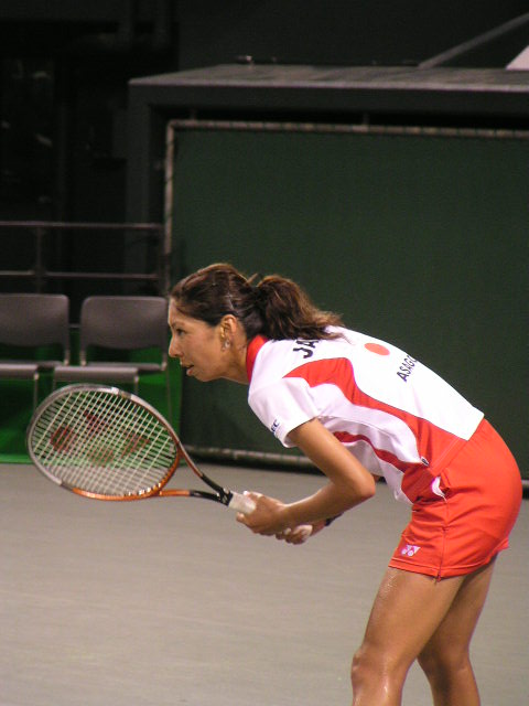 ($BE:IU(B1) 20030426220440.1.JPG