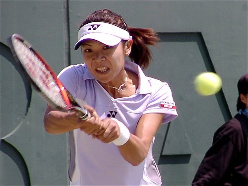 ($BE:IU(B1) 20030503221743.1.jpg