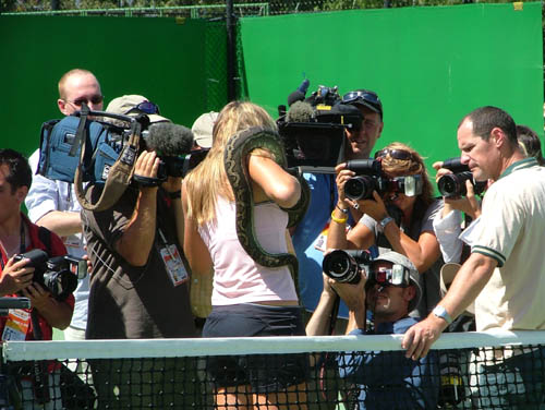 (�Y�t1) 20060121111155.1.jpg