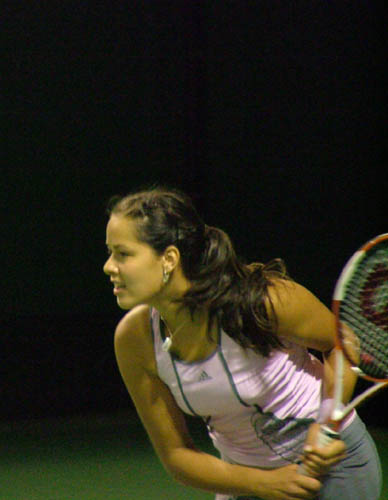 (�Y�t1) 20060123103414.1.jpg