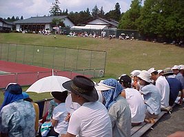 �v��R�Ƃ��炢�Ⴂ