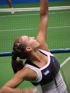 �i�C�X�o�f�B�I�C���[�_�����